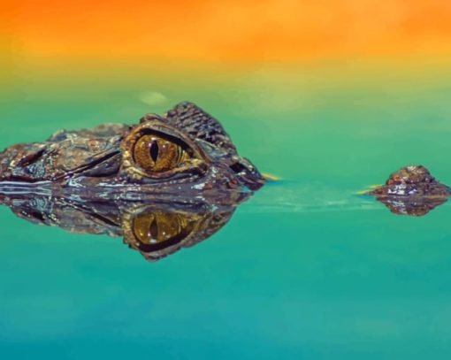 Crocodile's Eye painting by numbers