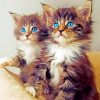 Kittens With Blue eyes painting by numbers