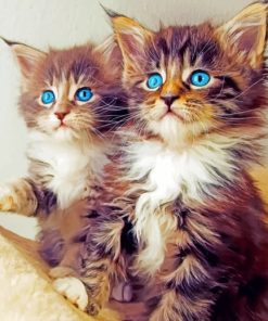 Kittens With Blue eyes painting by numbers