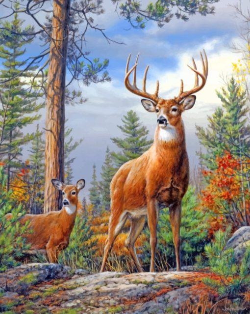 Deer In Forest paint by numbers