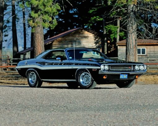Black Dodge 1970 Challenger paint by numbers