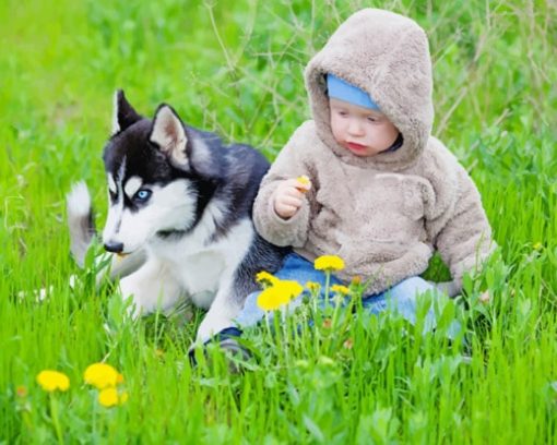 Infant And Husky Dog paint by numbers