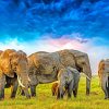 Giant Elephants In A Grassland paint by numbers