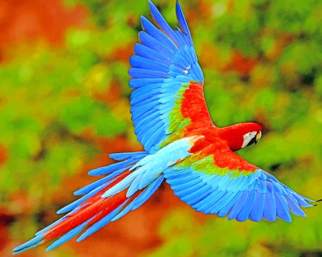 red macaw flying