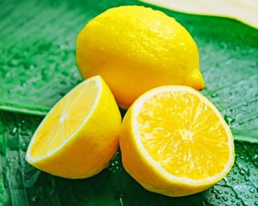 Fresh Lemons paint by numbers