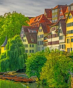 Tuebinge Houses In Germany paint by numbers