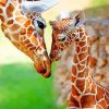 Giraffe And Her Baby paint by numbers