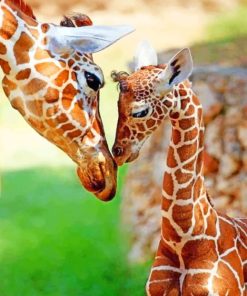 Giraffe And Her Baby paint by numbers