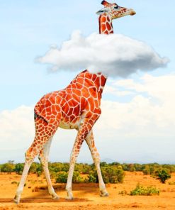 Giraffe In Cloud Art paint by numbers