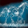 Horse In Water Drops painting by numbers