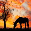 Horse Silhouette paint by numbers