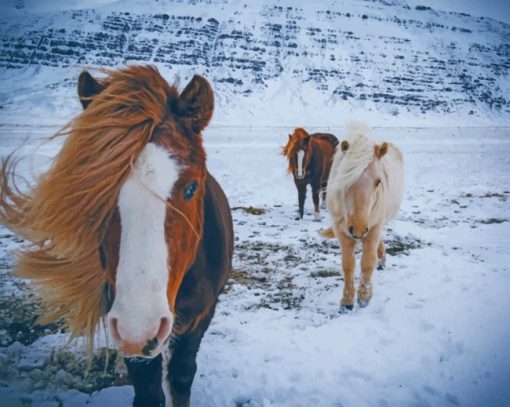 Horses In The Snow Of Iceland painting by numbers