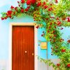 House Door Flowers paint by numbers