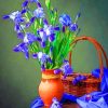 Iris Flowers In Vase paint by numbers