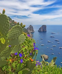 Capri The Italian Island paint by numbers