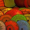 Japanese Umbrellas painting by numbers