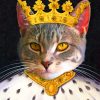 King Cat paint by numbers