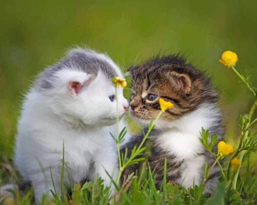 Two Kittens On The Grass paint by numbers