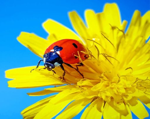 Ladybug On Yellow Flower paint by numbers
