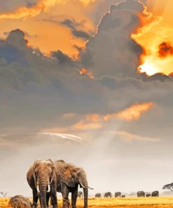 Elephants Herds In A Cloudy Day paint by numbers