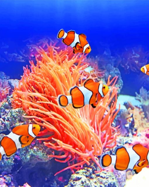 Orange Clownfish paint by numbers