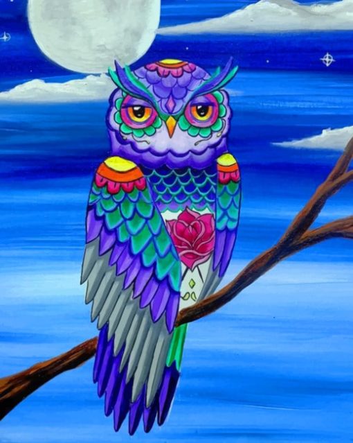 Owl Art paint by numbers