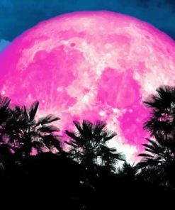 Pink Moonlight paint by numbers