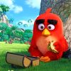 Red Angry Bird painting by numbers