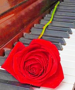 Rose On Piano paint by numbers