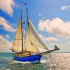 Blue Sailing Boat paint by numbers