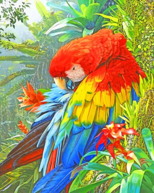 Scarlet Macaw paint by numbers