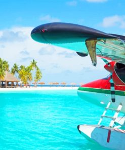 Seaplane At A Tropical Beach paint by numbers