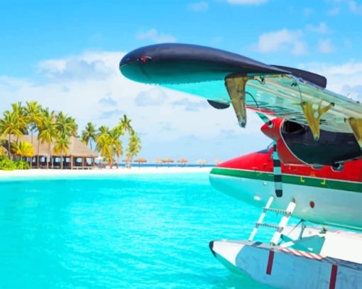 Seaplane At A Tropical Beach paint by numbers