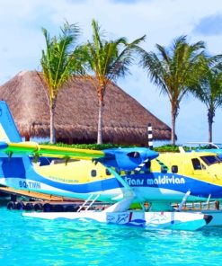 Seaplane At The Maldives paint by numbers