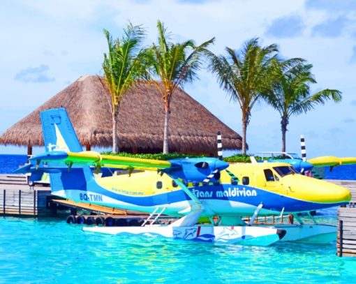 Seaplane At The Maldives paint by numbers