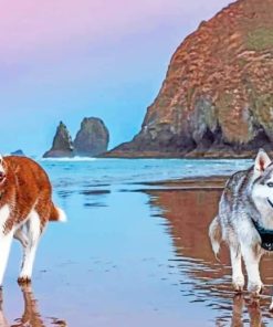 Siberian Huskies On Beach paint by numbers
