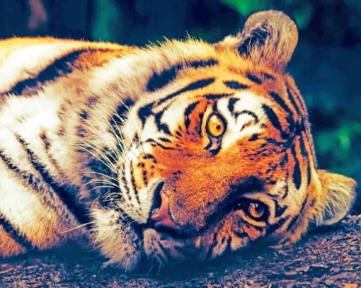 Sleepy Tiger paint by numbers