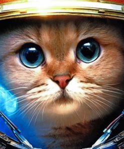 Space Cat painting by numbers