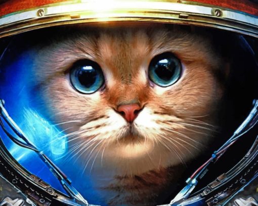 Space Cat painting by numbers
