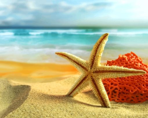 Starfish On The Beach painting by numbers