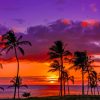 Sunset Hawaiian Beach paint by numbers