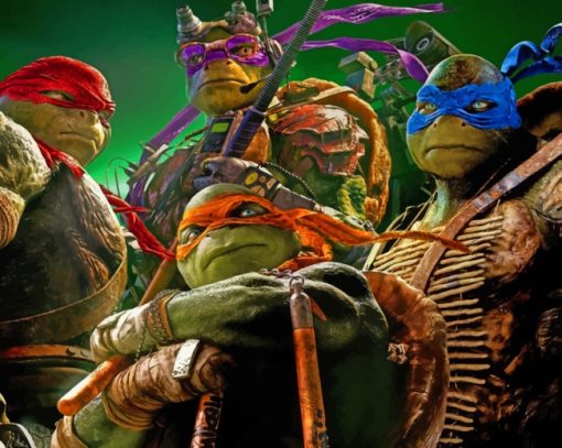 Teenage Mutant Ninja Turtles painting by numbers