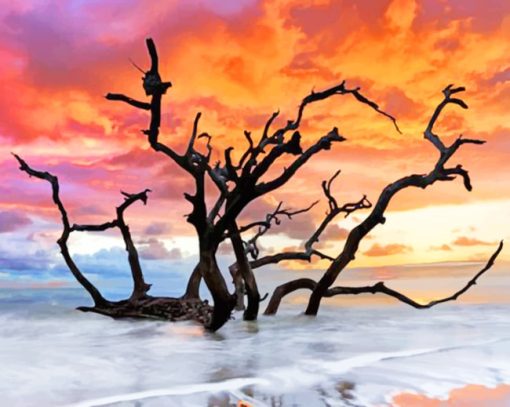 Tree In The Beach At Sunset paint by numbers