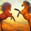 Two Horses Fighting painting by numbers