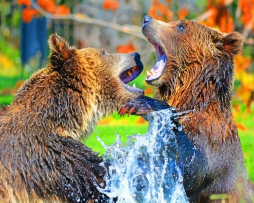 Two Bears Playing In Lake paint by numbers