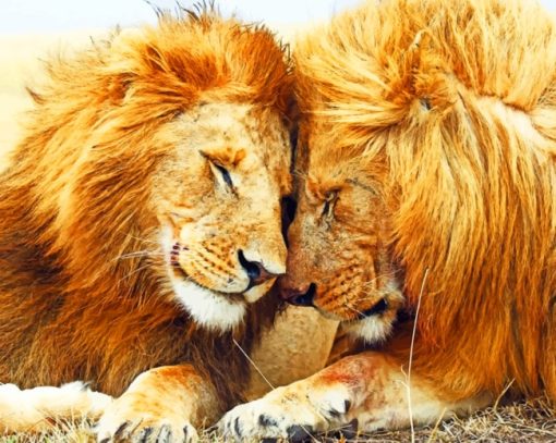 Two Male Lions painting by numbers