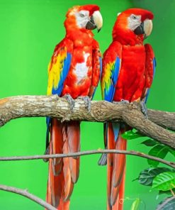 Two Red Parrots On Tree paint by numbers