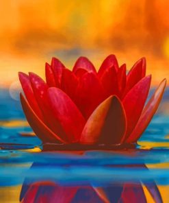 Water Lily Flower Pond painting by numbers