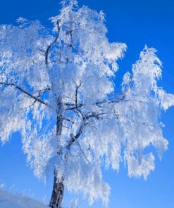 White Tree Under Blue Sky painting by numbers