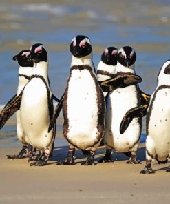 A Waddle Of African Penguins Paint by Numbers
